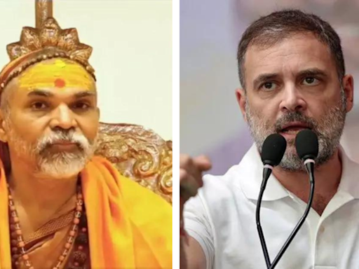 What Shankaracharya said over Rahul Gandhi's Hindu remark in Lok Sabha | India News - Times of India