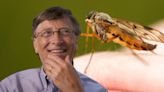 [WATCH] Why Did Bill Gates Unleash A Swarm Of Mosquitos During A TED Talk?