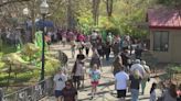 Beautiful weather brings thousands to Saint Louis Zoo