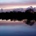 Wakodahatchee Wetlands