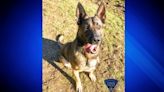 State police: K9 sniffs out kilo of cocaine after trooper stops speeding driver on Mass. Pike