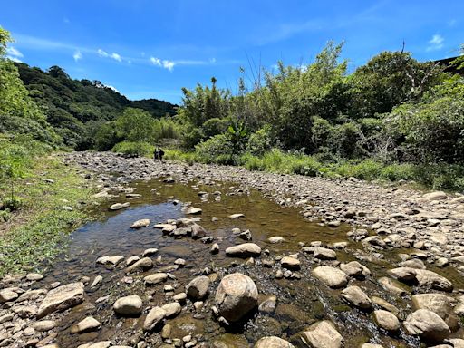 打掉混凝土堰體、鋪上天然石塊 重建遠望坑溪洄游魚兒回家之路