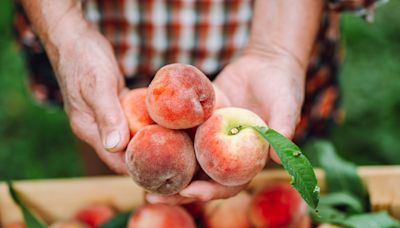 Yes, There Is A Correct Way To Store Peaches