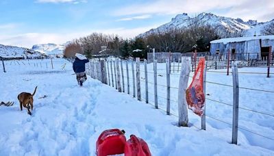 Aislado por un temporal de nieve: un peón rural se negó a ser evacuado para no abandonar a sus perros