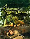 A Midsummer Night's Dream (film 1968)