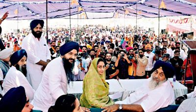 India General Elections 2024: Bhatinda’s giant-killer seeks second Badal scalp