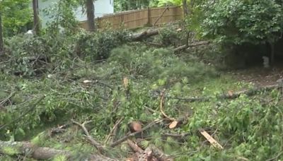 Gwinnett homeowners say they were scammed out of thousands by fleeing tree trimmer
