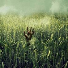 In The Tall Grass Review: Is the Netflix Horror Worth Watching?