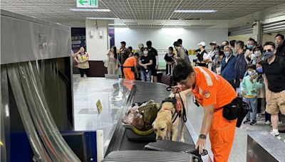 落實「無毒家園」阻毒於境外 「黑白雙煞」緝毒犬進駐金門機場 - 社會