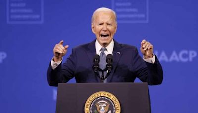 ¿Quién será el candidato demócrata a la Casa Blanca si Biden sucumbe a la presión?