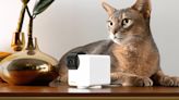 Celebrate Pet Month With Clever Pet Cams for Your Furry Friends