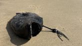 Nightmarish deep-sea footballfish washes up on California beach in rare stranding