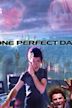 One Perfect Day