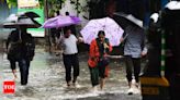 Maharashtra: Amid heavy rainfall prediction, holiday for schools in parts of Vidarbha and Raigad | Mumbai News - Times of India