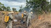 Reserva no Pantanal usa 'fogo amigo' para prevenção de grandes incêndios