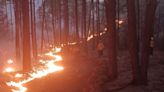Siguen activos 8 incendios forestales en la Sierra Tarahumara
