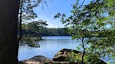 Algae bloom at Thetis Lake prompts warning for people and pets