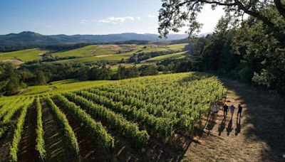 Résonance Sets The Stage For the Great Next Wine Region