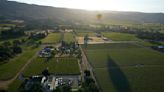 AP PHOTOS: Napa Valley wine grapes thrive after record rainfall, but cool weather may delay harvest