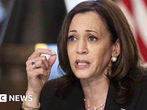 Is Kamala Harris a 'failed border czar'?