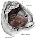 Chronic prostatitis/chronic pelvic pain syndrome