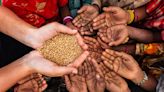 Britain allocates £67m to boost world’s agricultural supplies in bid to combat rural food poverty