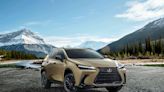 LEXUS NX 350 Overtrail版悍動上市 領您探索不凡2025年式NX同步登場 舒適體驗全面進化