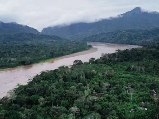 El TCP autoprorrogado legaliza negocio de los bonos de carbono - El Diario - Bolivia