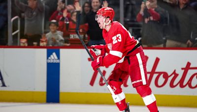 Detroit Red Wings should be in playoffs. Change this unusual NHL rule. | Opinion