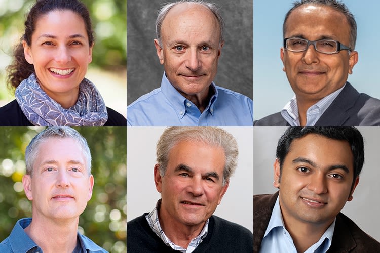 37 UC scholars named fellows of the American Association for the Advancement of Science