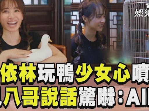 影音／蔡依林玩鴨「少女心噴發」 見八哥說話驚嚇：是AI吧！│TVBS新聞網