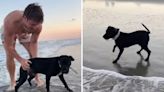 Dog's first time at the beach doesn't go as owner anticipated