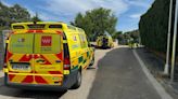 Hospitalizado grave un hombre de 60 años tras sufrir la mordedura de una víbora en su casa en Valdemorillo, Madrid