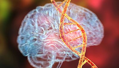 Alzheimer's Disease Risk Gene Could Actually Be Behind A "Distinct Genetic Form"