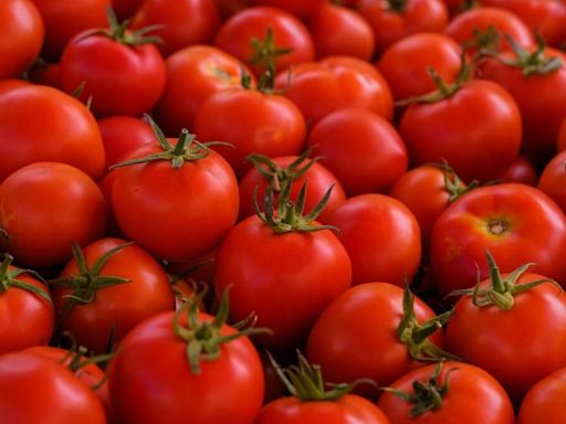 Tomato prices to cool down in 7-10 days: Consumer affairs minister Pralhad Joshi