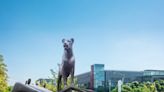 Pride of life-sized bronze lions go on display in Edinburgh