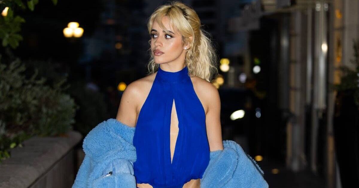 Camila Cabello shares dating app woes after This Morning star ex-boyfriend news