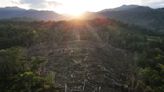 Programa de protección del bosque peruano plantea dudas