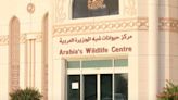 Take a tour of Arabia's Wildlife Centre in Sharjah