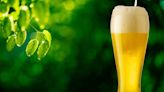 Almost a fifth of pub-goers check if pub’s are environmentally friendly before a pint