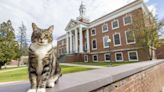 A college puts the 'cat' into 'education' by giving Max an honorary 'doctor of litter-ature' degree