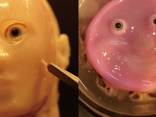 Thanks, Scientists, for This Terrifying Smiling Robot Face Made of Living Skin Cells