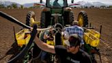 Too much water hits farming hard, Rich County cattle evacuated as Bear River rises