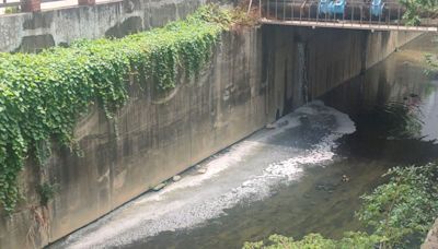 追查高市大智陸橋下死魚 抓到2家工廠偷排廢水最重罰300萬