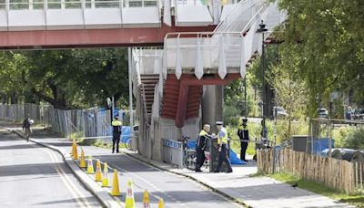 Two men who died in Grand Canal tragedy named locally as gardaí investigate if one man died trying to save the other