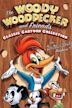 Woody Woodpecker