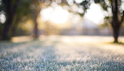 Planters beware: Looming frost threat across Ontario and Quebec