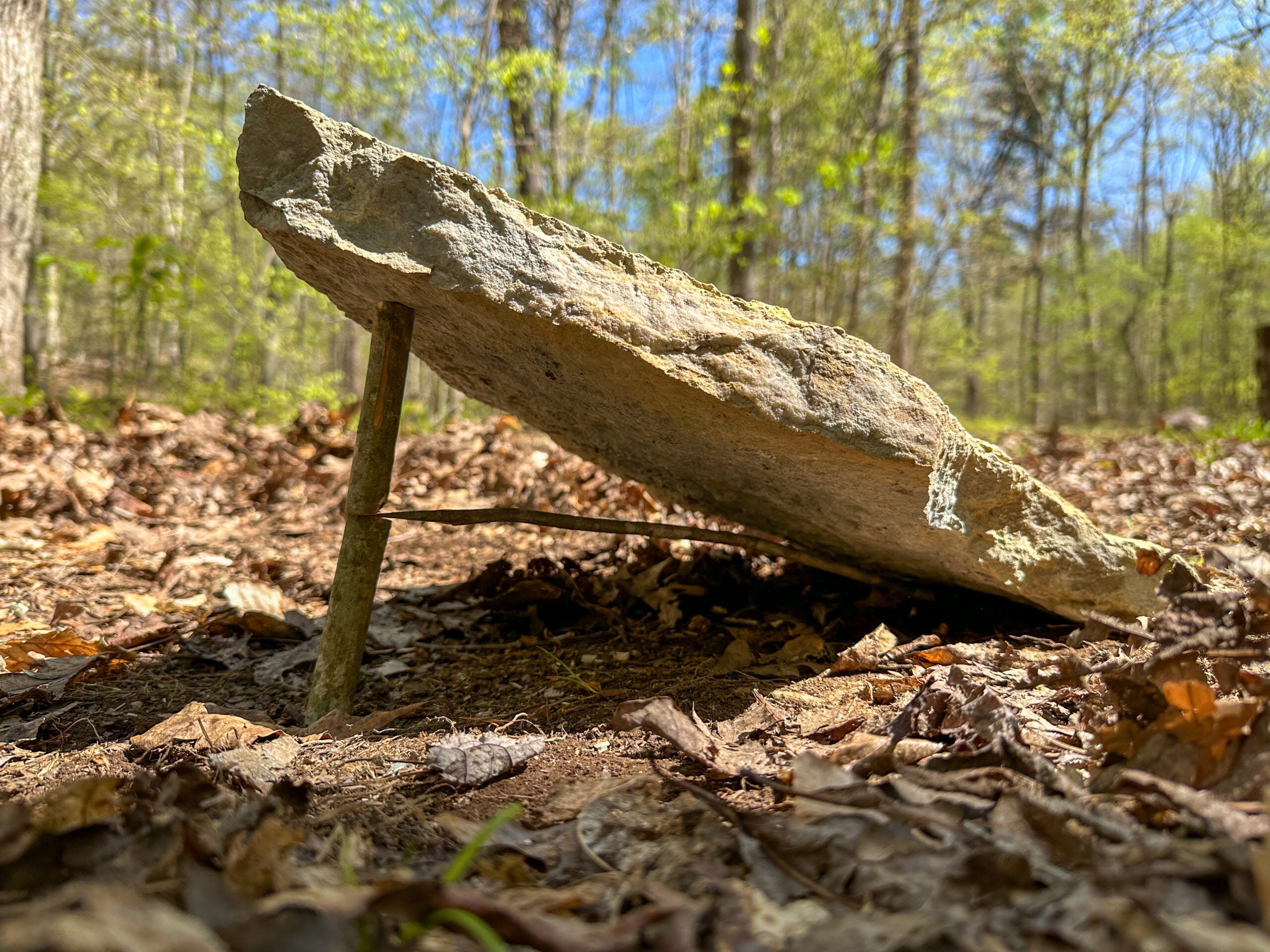 Survival Skills: How to Make Deadfall Traps