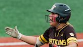 Watkins Memorial drops Division I state softball final to Austintown-Fitch, 4-0