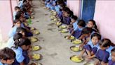 'Lizard' found in meal served at government school in Telangana, Centre takes note of media reports